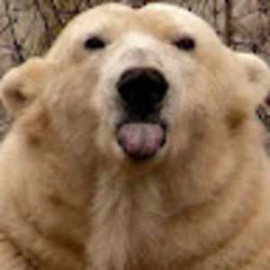 Meet your Posher, Jenny-lynn